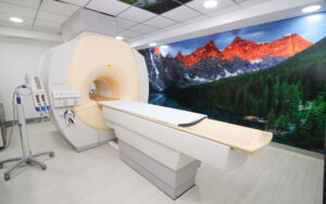 Resonancia Magnetica Nuclear